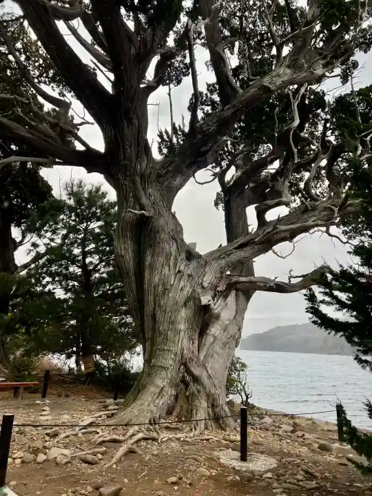 大瀬神社(静岡県)