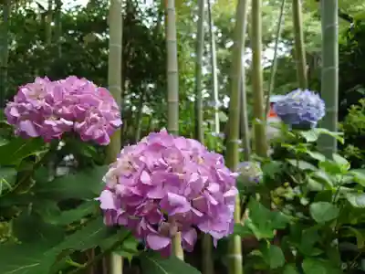 鈴鹿明神社(神奈川県)