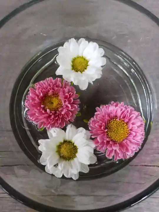 渋谷氷川神社(東京都)