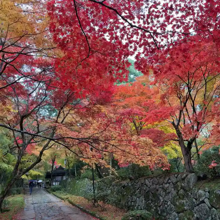 金剛輪寺(滋賀県)
