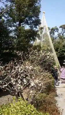 池上本門寺(東京都)