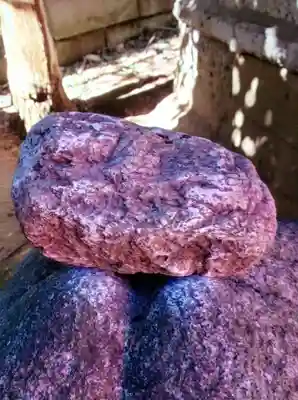 くまくま神社(導きの社 熊野町熊野神社)(東京都)