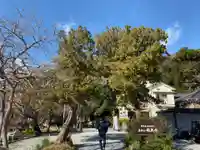 かっぱの寺 栖足寺の自然