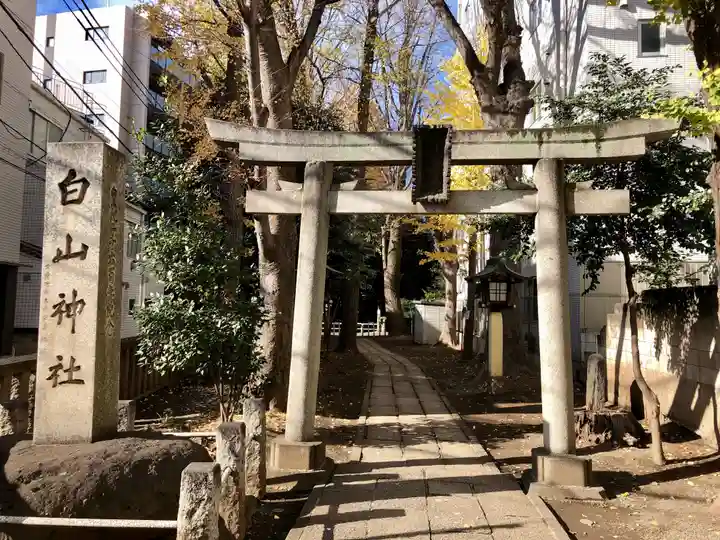 荻窪白山神社の鳥居