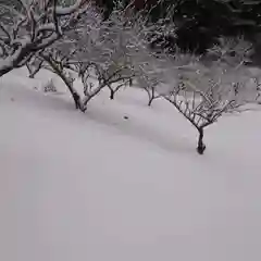 深山 飯盛寺の自然