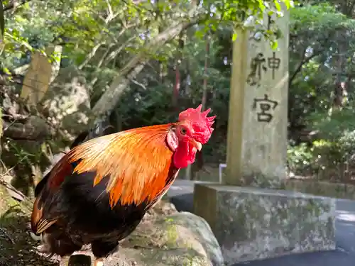 石上神宮の動物