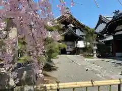 妙顯寺（妙顕寺）(京都府)