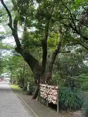 江田神社(宮崎県)