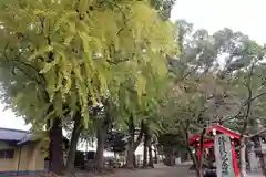 美奈宜神社の建物その他