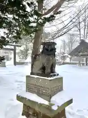 江南神社の狛犬