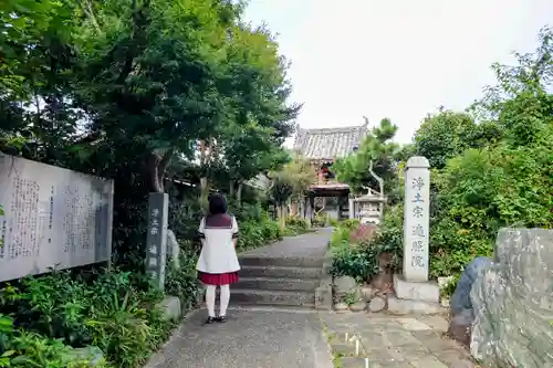 道智山 遍照院の山門・神門