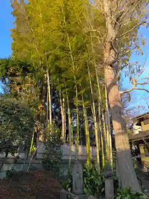 東運寺(東京都)