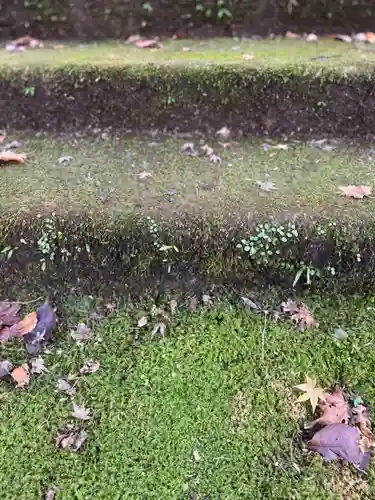 新大佛寺の自然