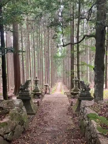 賀茂神社(京都府)