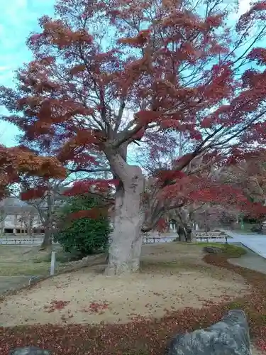 根来寺 智積院の庭園