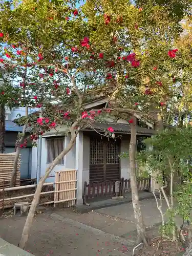 亀岡八幡宮（亀岡八幡神社）(神奈川県)