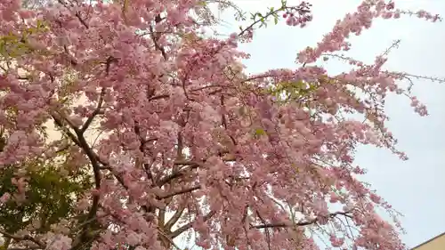 石像寺（釘抜地蔵）の自然
