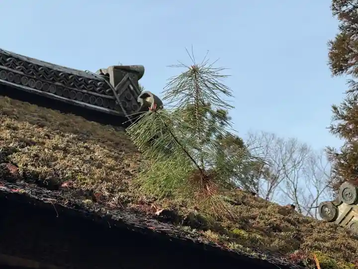 賀茂別雷神社(上賀茂神社)(京都府)