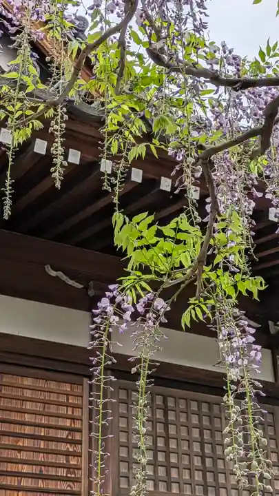 葛井寺(大阪府)