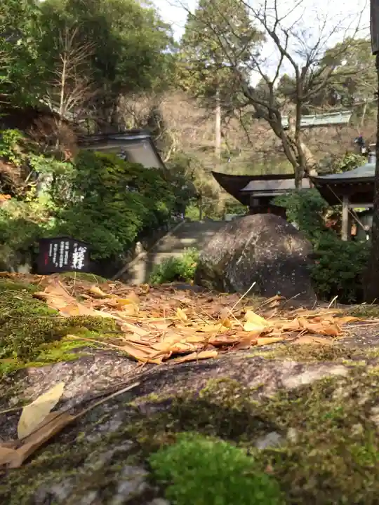 大興善寺(佐賀県)