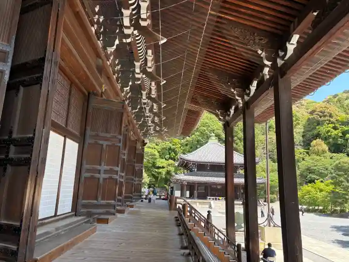 知恩院の{uncategorized: "未分類", other: "その他", undefined: "問題あり", building: "その他建物", grave: "お墓", sacred_gate: "鳥居", guardian: "狛犬", statue: "像", buddha: "仏像", history: "歴史", nature: "自然", garden: "庭園", animal: "動物", pagoda: "塔", temizu: "手水舎", mountain_gate: "山門・神門", sanctuary: "本殿・本堂", subordinate: "末社・摂社", art: "芸術", scenery: "景色", jizo: "地蔵", ema: "絵馬", goshuin: "御朱印", omikuji: "おみくじ", items: "授与品その他", amulet: "お守り", goshuincho: "御朱印帳", eats: "食事", festival: "お祭り", votive_dance: "神楽", shichigosan: "七五三参", wedding: "結婚式", experience: "体験その他", initially: "初詣", around: "周辺", anti_infection: "感染症対策"}