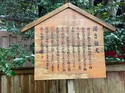 石浦神社(石川県)