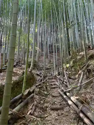 鳴滝奥の院(徳島県)