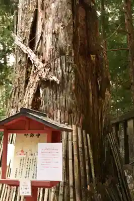 日光東照宮奥宮拝殿(栃木県)