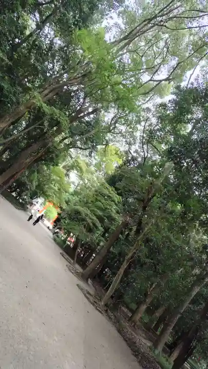 賀茂御祖神社(下鴨神社)(京都府)