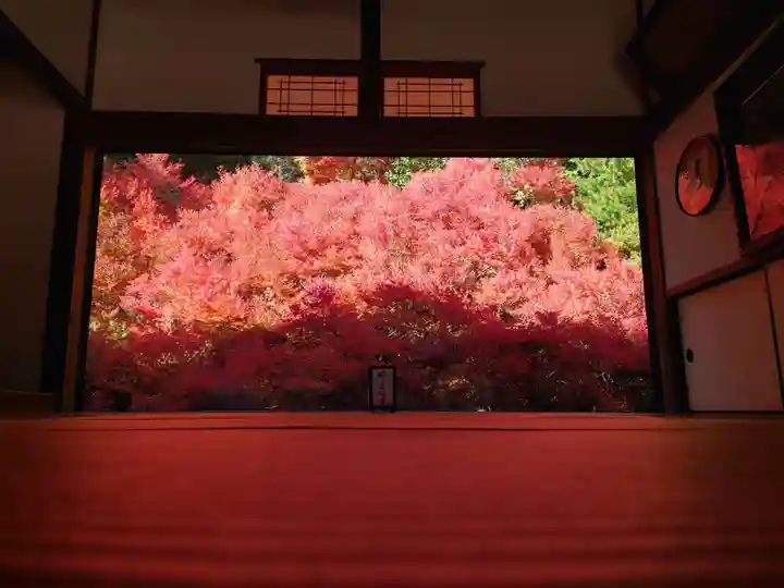 安國寺(兵庫県)