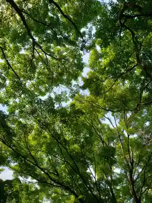 高円寺(東京都)