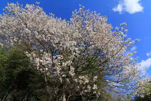 見渡神社の庭園