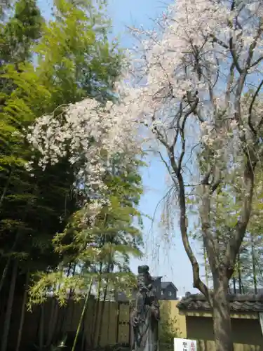 真光寺(千葉県)