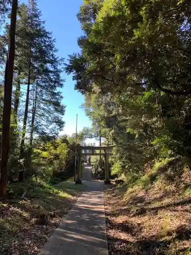 熊野神社の鳥居