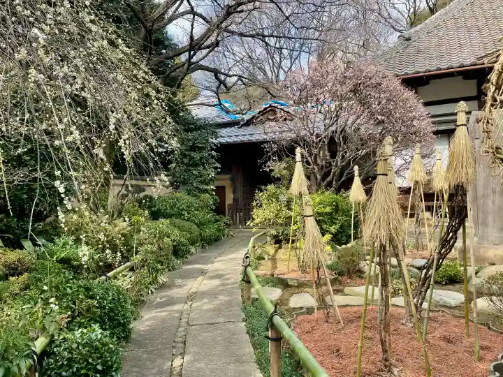 無量寺の{uncategorized: "未分類", other: "その他", undefined: "問題あり", building: "その他建物", grave: "お墓", sacred_gate: "鳥居", guardian: "狛犬", statue: "像", buddha: "仏像", history: "歴史", nature: "自然", garden: "庭園", animal: "動物", pagoda: "塔", temizu: "手水舎", mountain_gate: "山門・神門", sanctuary: "本殿・本堂", subordinate: "末社・摂社", art: "芸術", scenery: "景色", jizo: "地蔵", ema: "絵馬", goshuin: "御朱印", omikuji: "おみくじ", items: "授与品その他", amulet: "お守り", goshuincho: "御朱印帳", eats: "食事", festival: "お祭り", votive_dance: "神楽", shichigosan: "七五三参", wedding: "結婚式", experience: "体験その他", initially: "初詣", around: "周辺", anti_infection: "感染症対策"}