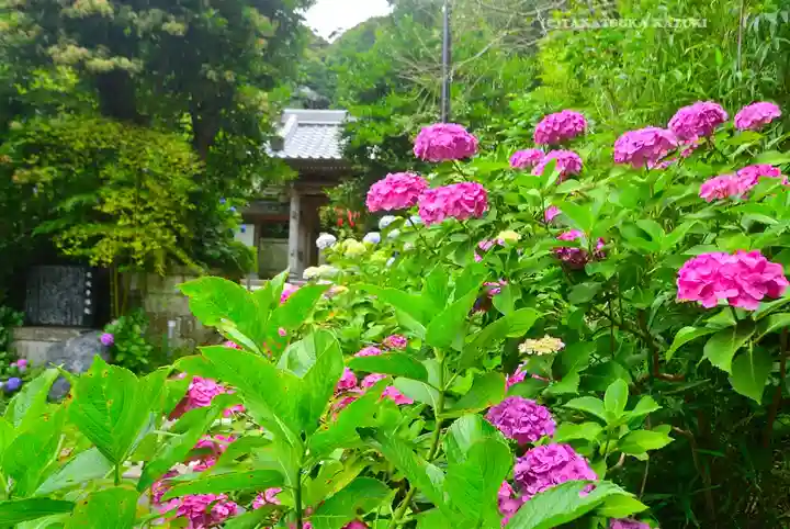 岩殿寺(神奈川県)
