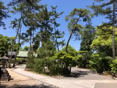 今宮神社(京都府)