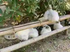 高屋敷稲荷神社の動物