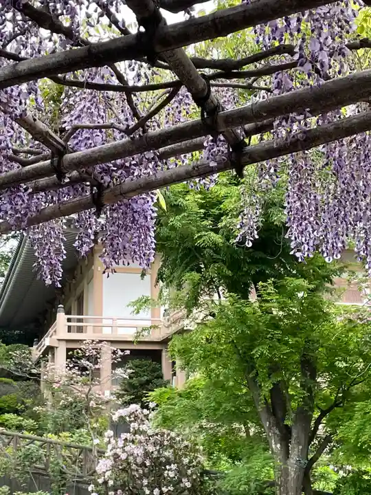 東長谷寺 薬王院(東京都)