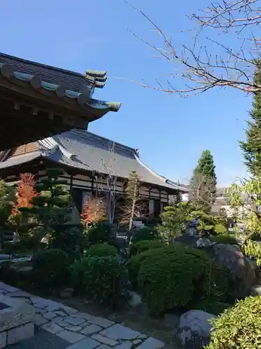 鉄舟寺の庭園