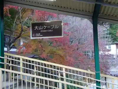 大山阿夫利神社の周辺