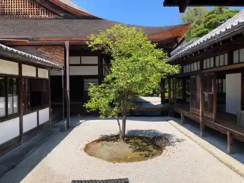 建仁寺（建仁禅寺）(京都府)
