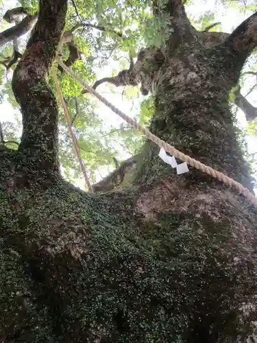 熊野那智大社(和歌山県)