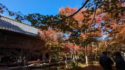 圓光寺(京都府)