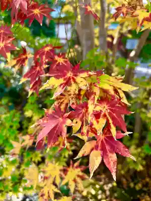 大國魂神社(東京都)