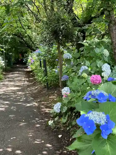 興禅院(埼玉県)