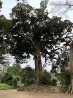 大竹神社の自然