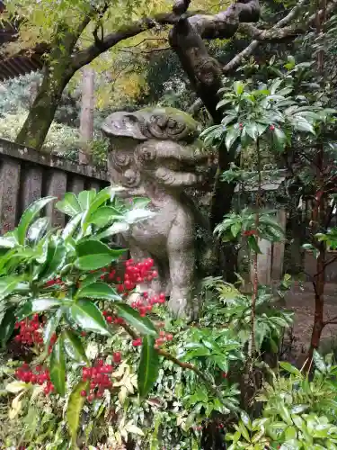 五所駒瀧神社の狛犬