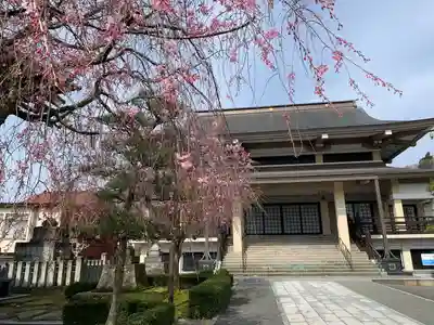浄得寺(福井県)