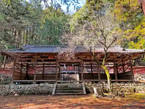 天神社の本殿